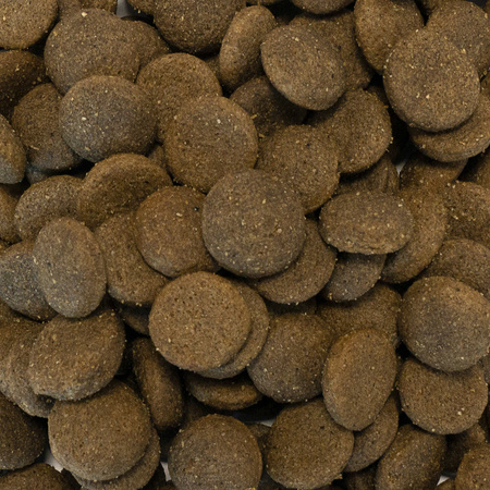 Karma Look4dog CARE królik 6kg Delikatny królik i jeżyny wyborny smak karmy