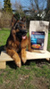 Zestaw karma Look4dog CARE 12 kg + duża szczotka