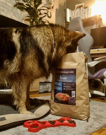 Karma Look4dog CARE łosoś pstrąg duża rasa 12 kg