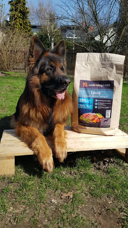 Karma Look4dog CARE łosoś pstrąg duża rasa 12 kg